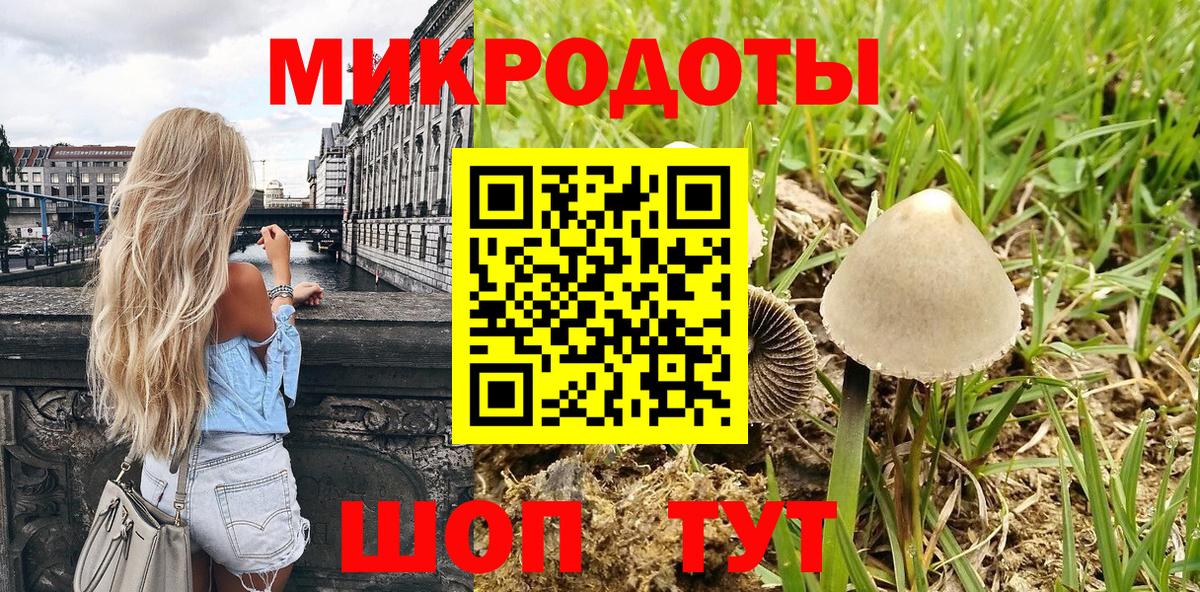 Псилоцибиновые грибы Cubensis  Вход с VPN  Усолье-Сибирское 